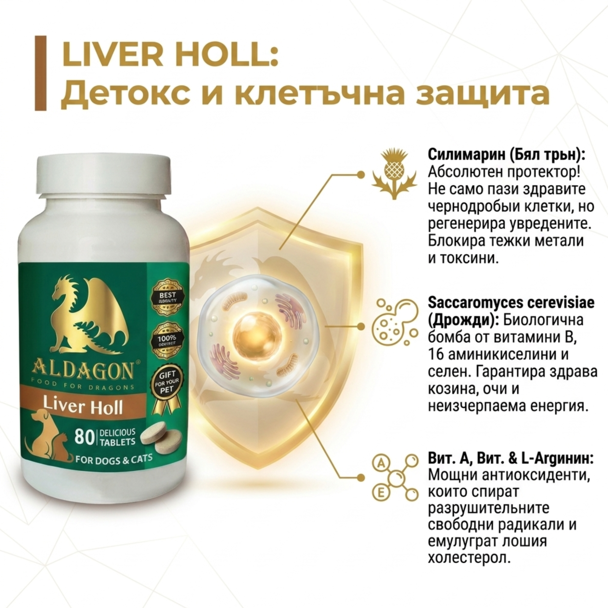 Liver Holl thumbnail 2