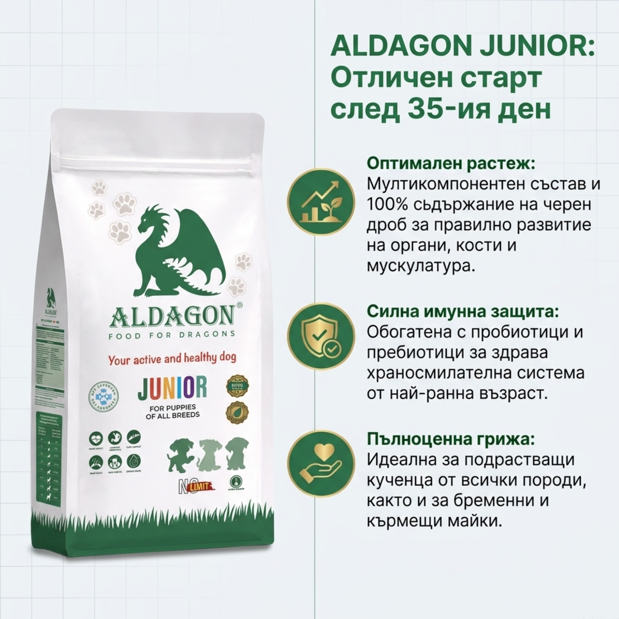 Aldagon Junior thumbnail 4