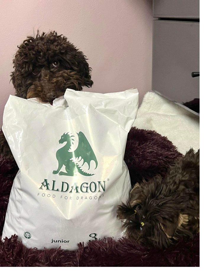 Aldagon - Food for Dragons community