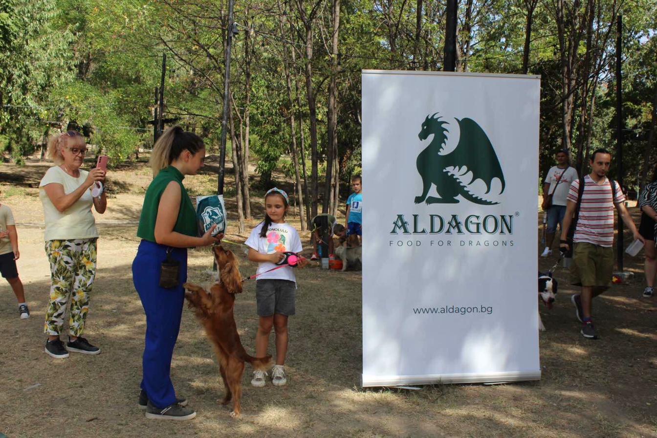 Aldagon - Food for Dragons community